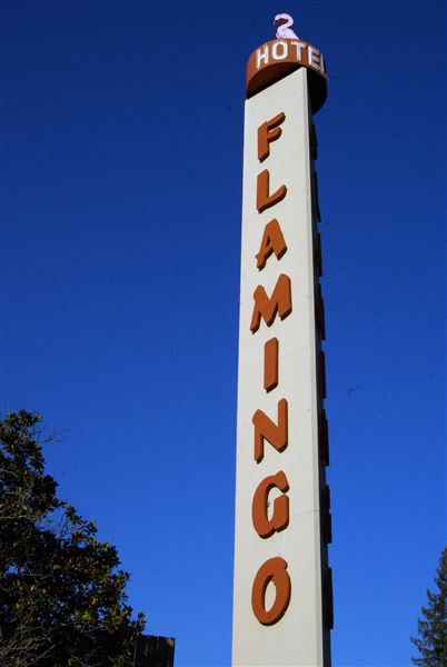 Flamingo Resort (6/30/2025 - Credits: Photo Courtesy of Sonoma County)