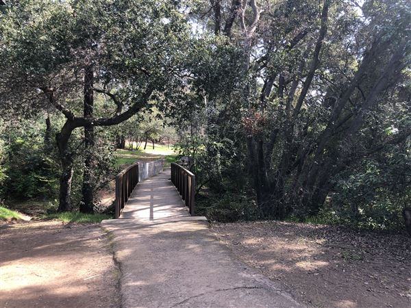 Los Gatos - La Rinconada Park Bridge (7/8/2025 - Credits: Town of Los Gatos)