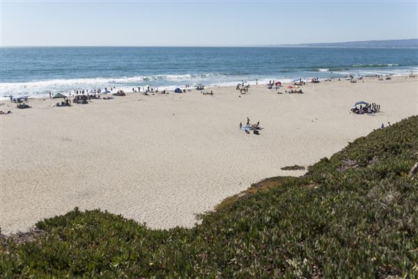 Sunset State Beach (SB) (9/19/2015 - Credits: Brian Baer)