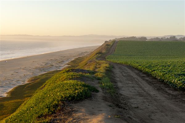 New Brighton State Beach (SB) (9/19/2015 - Credits: Brian Baer)