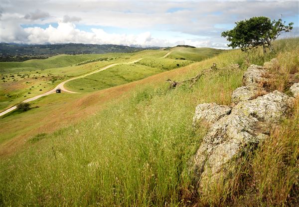 Fort Ord National Monument (6/16/2023 - Credits: Jesse Pluim, BLM, Public Domain)