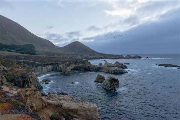 Garrapata State Park (SP) (9/22/2015 - Credits: Brian Baer)