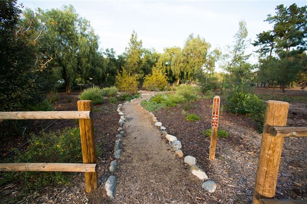 Carbon Canyon Regional Park (8/12/2025 - Credits: Courtesy of OC Parks)