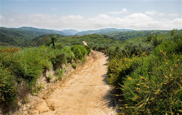 Laguna Coast Wilderness Park (8/12/2025 - Credits: Courtesy of OC Parks)