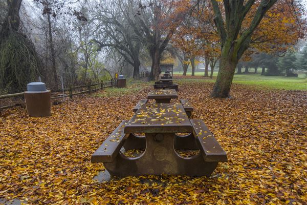 Colusa-Sacramento River State Recreation Area (SRA) (12/9/2016 - Credits: Brian Baer)