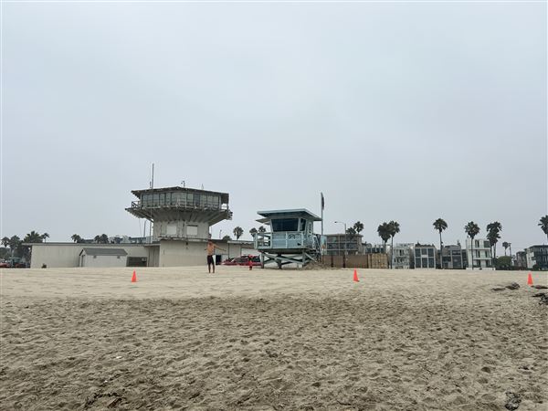 Venice Beach, Boardwalk, Pier & Recreation Center - Lifeguard Operations (8/14/2025 - Credits: Brandy Davis)