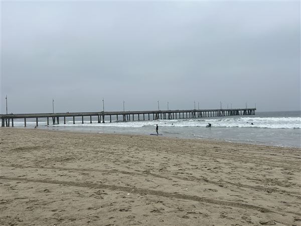 Venice Beach, Boardwalk, Pier & Recreation Center (8/14/2025 - Credits: Brandy Davis)