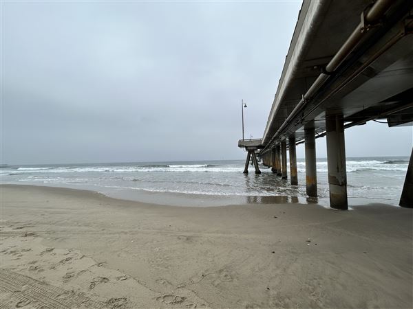 Venice Beach, Boardwalk, Pier & Recreation Center (8/14/2025 - Credits: Brandy Davis)