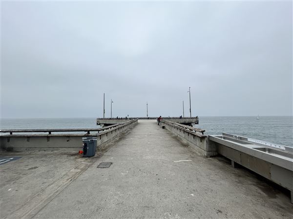 Venice Beach, Boardwalk, Pier & Recreation Center (8/14/2025 - Credits: Brandy Davis)