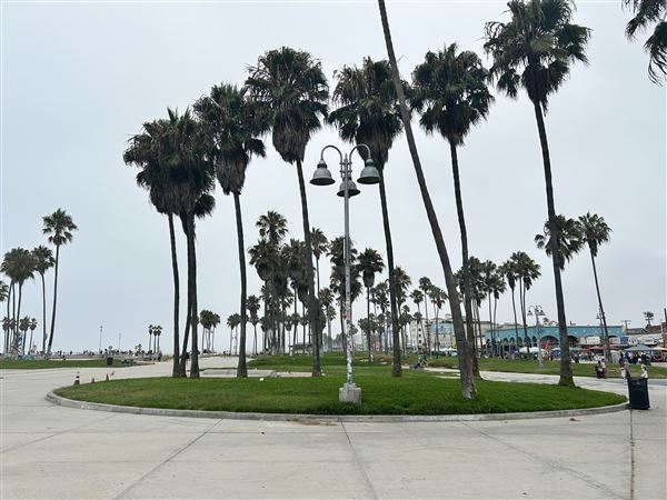 Venice Beach, Boardwalk, Pier & Recreation Center (8/14/2025 - Credits: Brandy Davis)