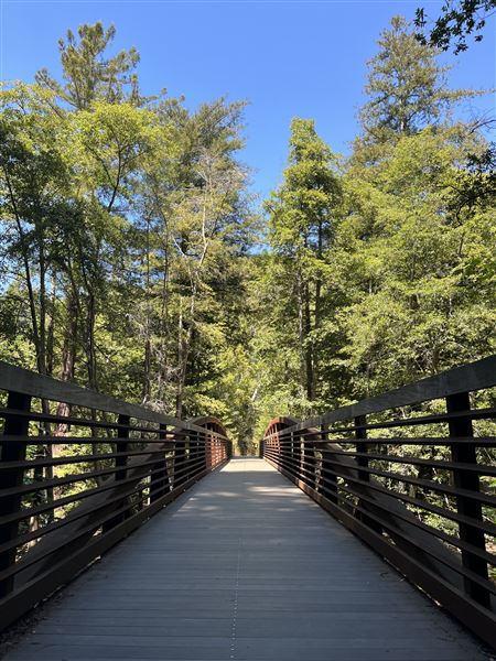 Pfeiffer Big Sur State Park (SP) (8/17/2025 - Credits: Melody Hildreth)