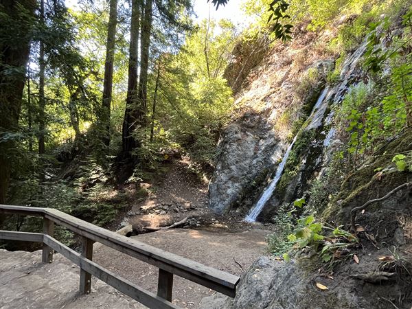 Pfeiffer Big Sur State Park (SP) (8/17/2025 - Credits: Melody Hildreth)