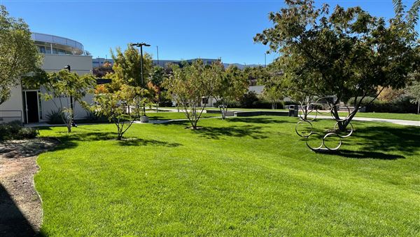 College of the Canyons - Culinary Arts (11/3/2021 - Credits: Leo Fialho)