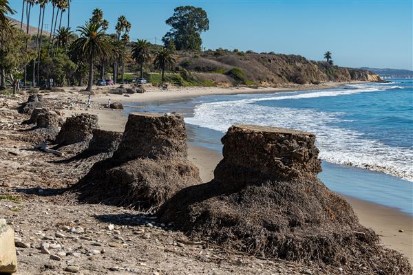 Refugio State Beach (SB) (1/6/2025 - Credits: Brian Baer)