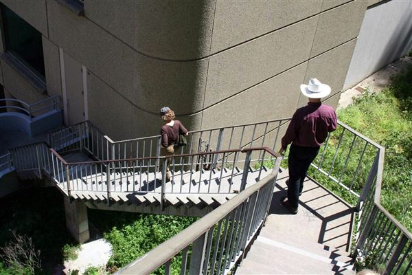 Filbert Steps (10/24/2025 - Credits: San Francisco City & County Film Commission)