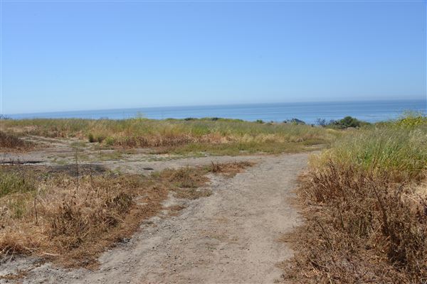 El Pescador State Beach @ Robert H. Meyer Memorial State Beach (SB) - CFC (4/17/2019 - Credits: Leo Fialho)