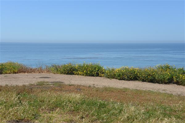 El Pescador State Beach @ Robert H. Meyer Memorial State Beach (SB) - CFC (4/17/2019 - Credits: Leo Fialho)