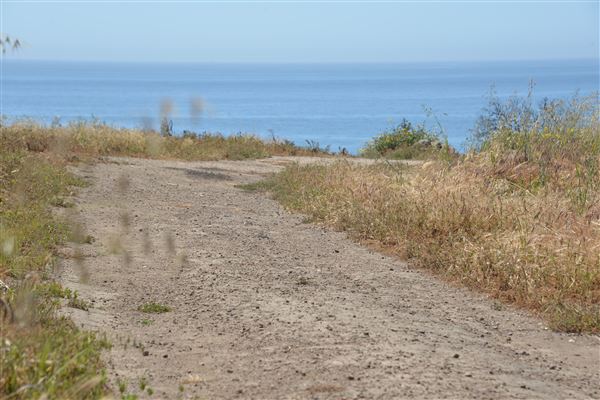 El Pescador State Beach @ Robert H. Meyer Memorial State Beach (SB) - CFC (4/17/2019 - Credits: Leo Fialho)