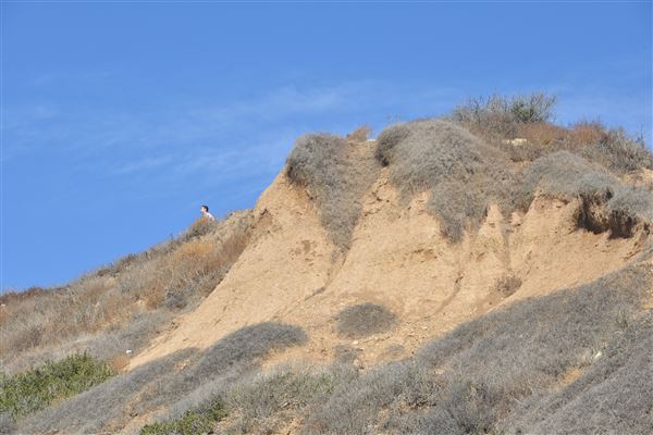 El Pescador State Beach @ Robert H. Meyer Memorial State Beach (SB) - CFC (11/14/2017 - Credits: Leo Fialho)