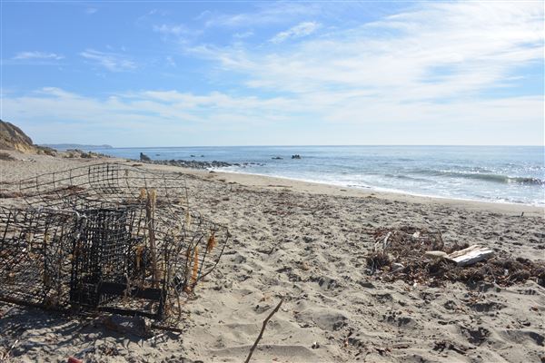 El Pescador State Beach @ Robert H. Meyer Memorial State Beach (SB) - CFC (11/14/2017 - Credits: Leo Fialho)