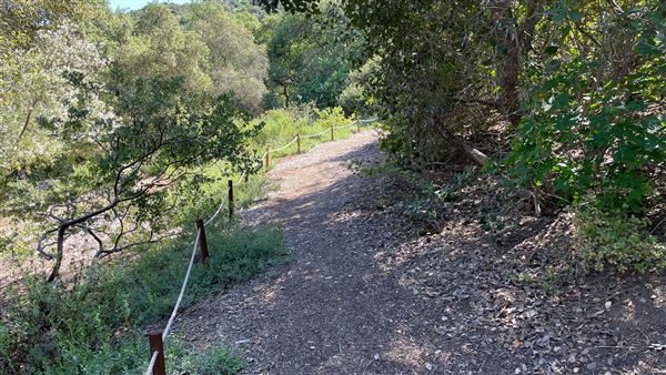 Descanso Gardens - California Garden (3/7/2022 - Credits: Leo Fialho)