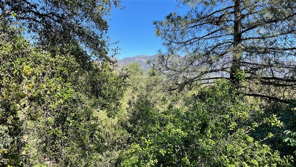 Descanso Gardens - Canyon View (3/7/2022 - Credits: Leo Fialho)