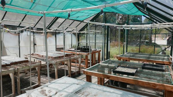 Descanso Gardens - Plant Propagation Greenhouse (7/26/2017 - Credits: Leo Fialho)