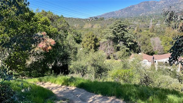 Descanso Gardens - Hopes Garden (3/7/2022 - Credits: Leo Fialho)