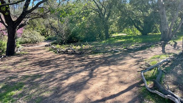 Descanso Gardens - Oak Woodland (3/7/2022 - Credits: Leo Fialho)