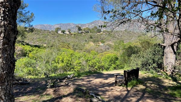 Descanso Gardens - Oak Woodland (3/7/2022 - Credits: Leo Fialho)
