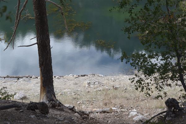 Crystal Lake Recreation Area / Campground - Angeles National Forest (1/30/2015 - Credits: Leo Fialho)