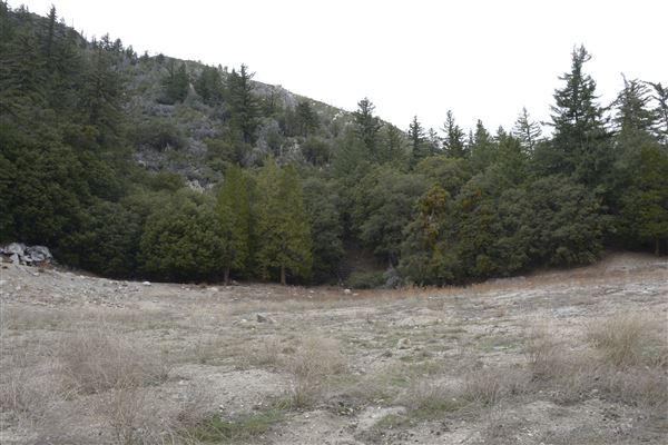 Crystal Lake Recreation Area / Campground - Angeles National Forest (1/30/2015 - Credits: Leo Fialho)