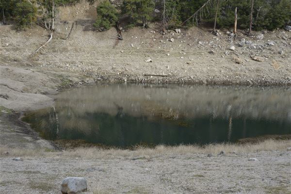 Crystal Lake Recreation Area / Campground - Angeles National Forest (1/30/2015 - Credits: Leo Fialho)