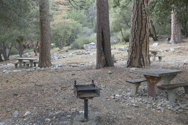 Crystal Lake Recreation Area / Campground - Angeles National Forest - Picnic Area (1/30/2015 - Credits: Leo Fialho)