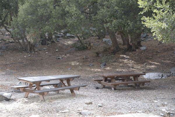 Crystal Lake Recreation Area / Campground - Angeles National Forest - Camping Loop A - Site 4 (1/30/2015 - Credits: Leo Fialho)