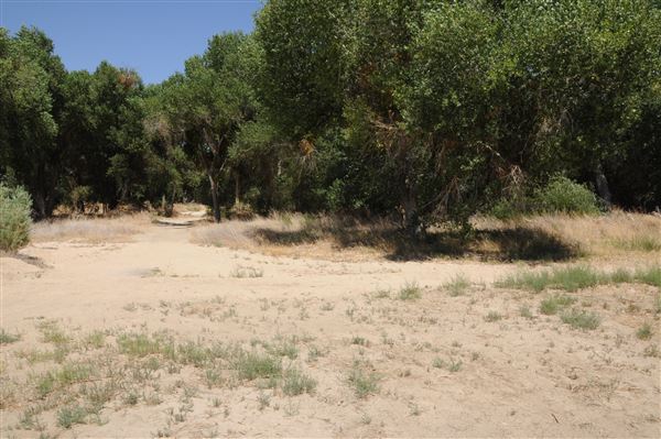 Mojave Narrows Regional Park - Pelican Lake (7/6/2012 - Credits: Leo Fialho)