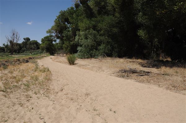 Mojave Narrows Regional Park - Pelican Lake (7/6/2012 - Credits: Leo Fialho)