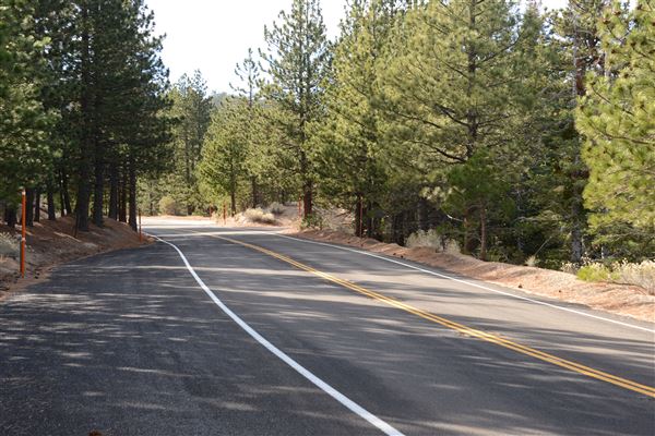 Angeles Crest Highway - SR2 - MM 61.65 (Outside TMZ) (11/16/2016 - Credits: Leo Fialho)