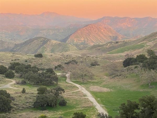 Big Sky Movie Ranch - Roads & Vistas & Forest (11/17/2025 - Credits: Owner)