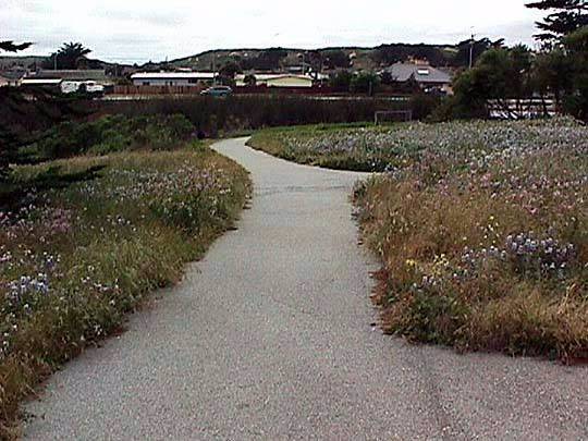 Locke Paddon Park (12/31/2003)