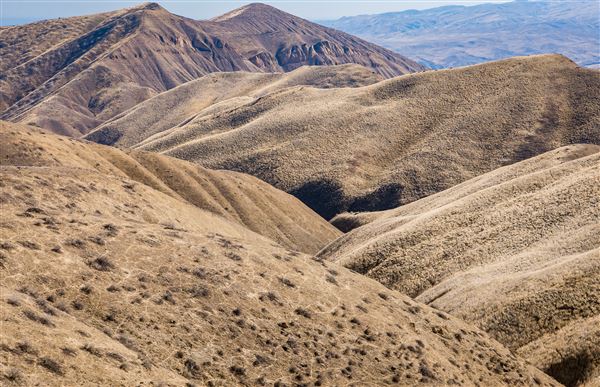 Panoche Hills - BLM (12/8/2025 - Credits: Jesse Pluim - Bureau of Land Management)