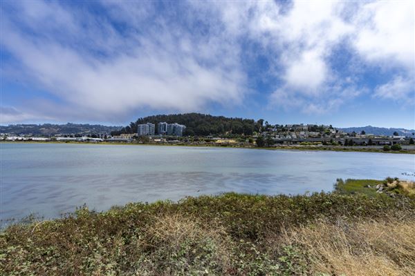 Albany State Marine Reserve - State Lands Commission (SLC) (7/31/2024 - Credits: Brian Baer)