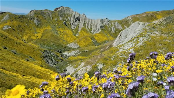 Carrizo Plain National Monument (12/11/2025 - Credits: Sarah Bullock - Bureau of Land Management)