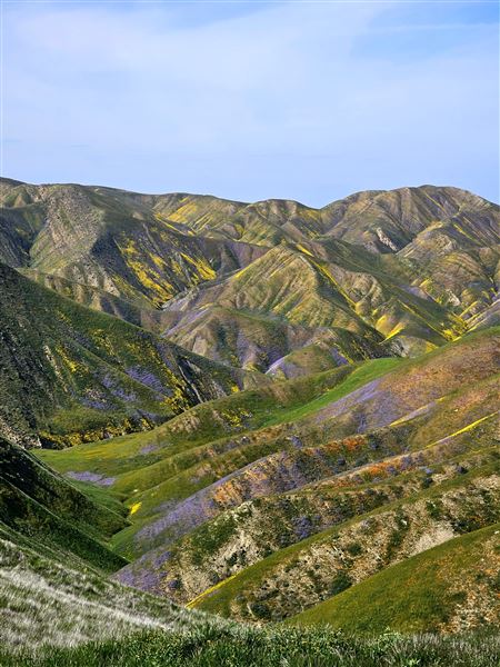 Panoche Hills - BLM (12/12/2025 - Credits: Ben Hoke - Bureau of Land Management)