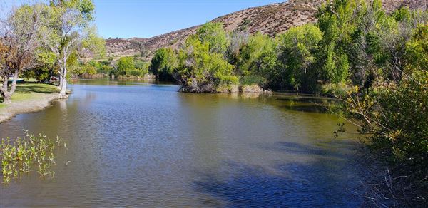 The Painted Turtle Camp - Lakes (7/17/2025 - Credits: David Halver)
