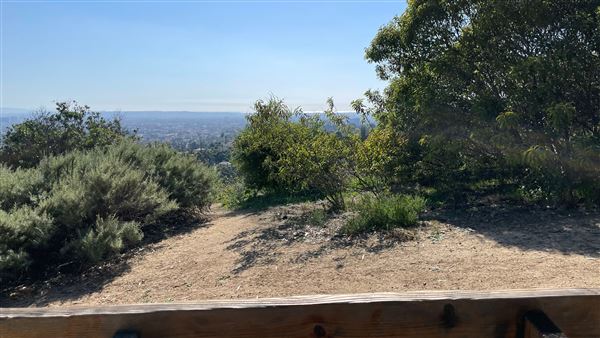 Griffith Park Redwoods - Cedar Grove - Cedar Grove Trail (3/16/2022 - Credits: Leo Fialho)