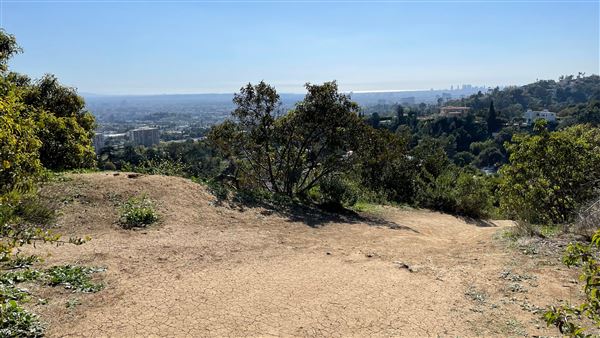 Griffith Park Redwoods - Cedar Grove - Cedar Grove Trail (3/16/2022 - Credits: Leo Fialho)