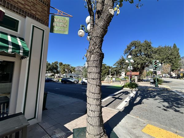 Old Town Monrovia (1/8/2026 - Credits: Brandy Davis)