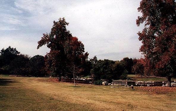 Los Angeles County Arboretum (12/31/2003)