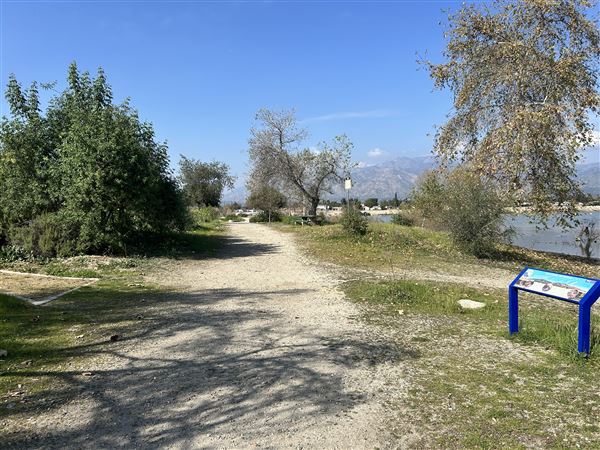 Peck Road Water Conservation Park (2/9/2026 - Credits: Brandy Davis)